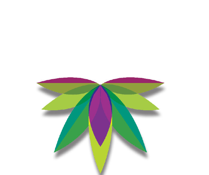 Puerto Rico Medcann.biz